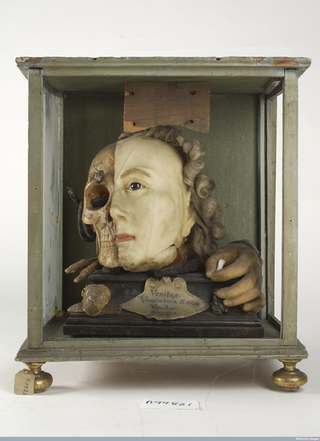 A meditation on decay: One side of this 18th-century vanitas tableau in wax resembles Queen Elizabeth I of England; the other half is a bare skull crawling with insects, snails and reptiles, representing the decay of the body in the grave. The text is drawn from Ecclesiastes 1:2 in the Bible: ‘Vanity of vanities, is all vanity.’ Wellcome Library, London